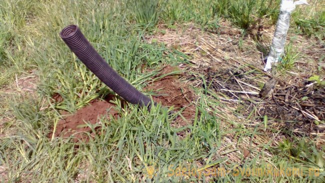 Приспособление для полива и подкормки яблони