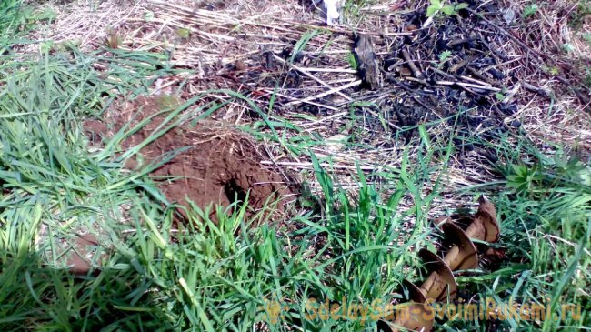 Приспособление для полива и подкормки яблони