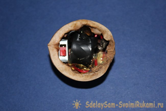 Робот – божья коровка