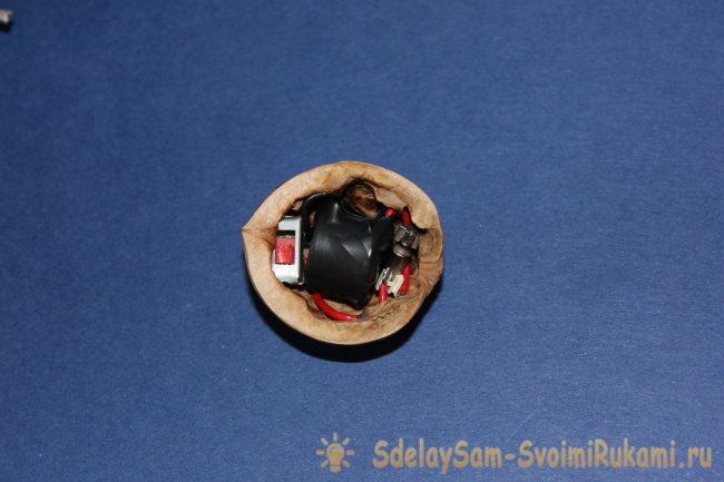 Робот – божья коровка