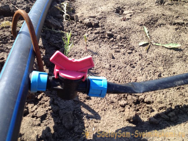 Создание сада с системой полива