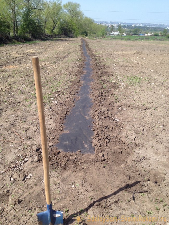 Создание сада с системой полива