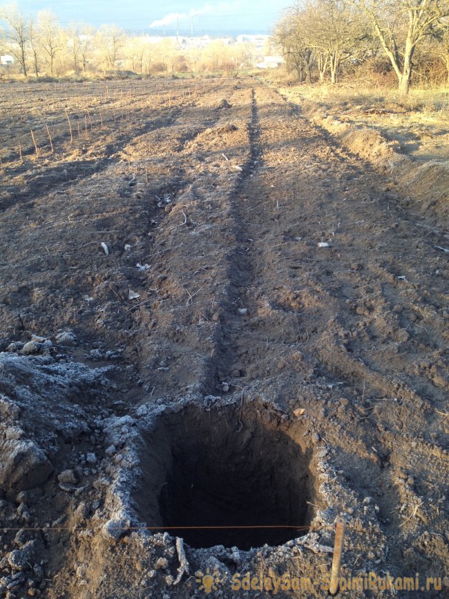 Создание сада с системой полива