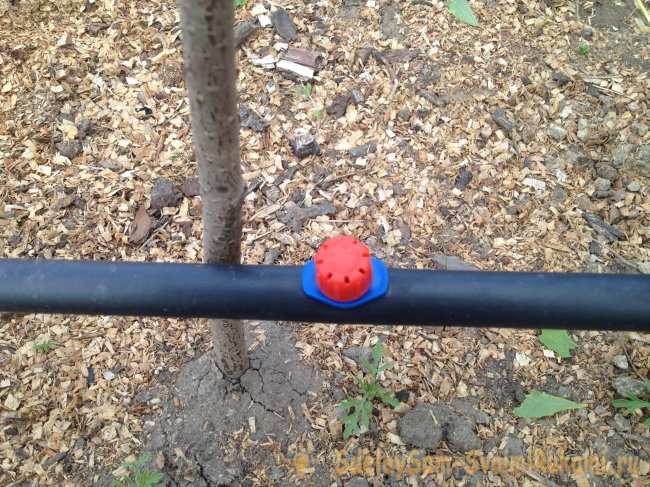 Создание сада с системой полива