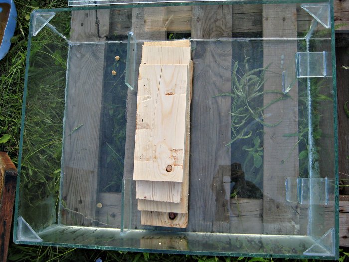 Солнечная воскотопка своими руками