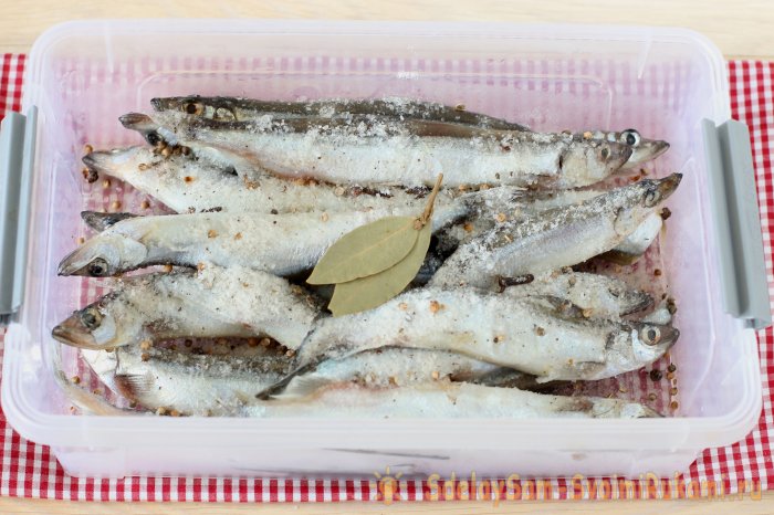 Мойва пряная малосольная