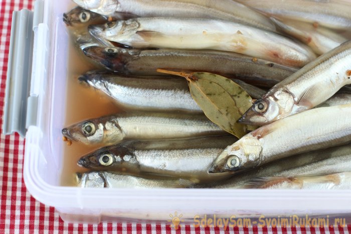 Мойва пряная малосольная