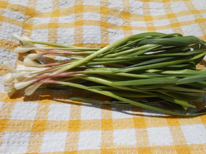 Нежнейший шашлык из говядины