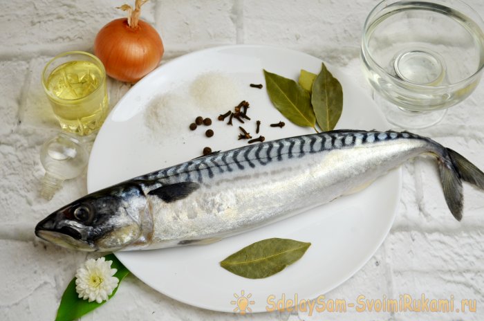 Маринованная скумбрия