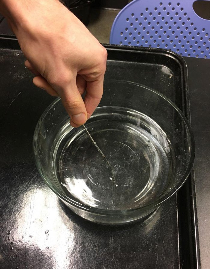 Как закалить сталь наглядный эксперимент