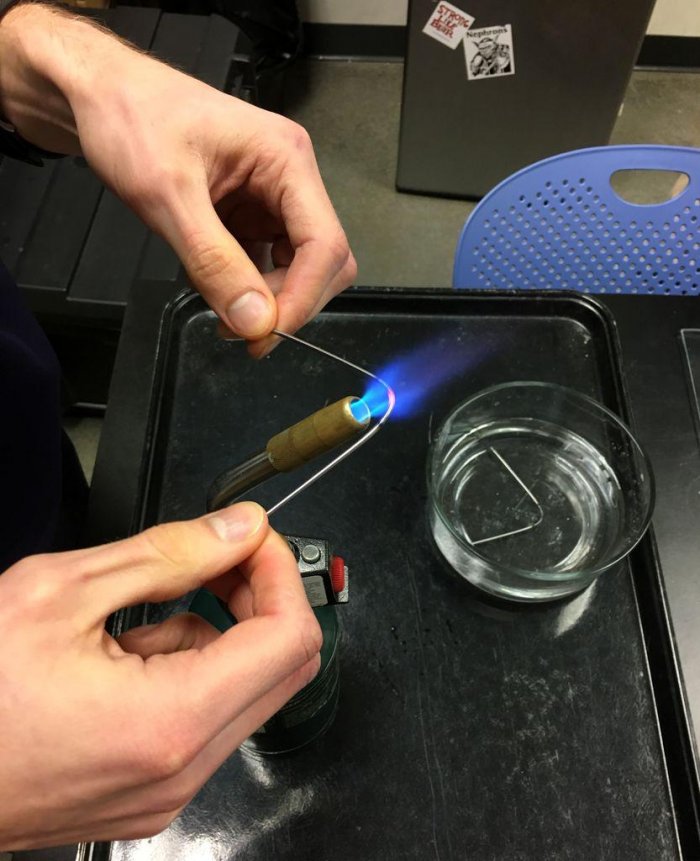 Как закалить сталь наглядный эксперимент