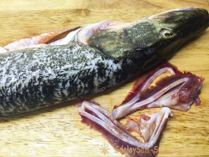 Как вкусно запечь целиком щуку в духовом шкафу