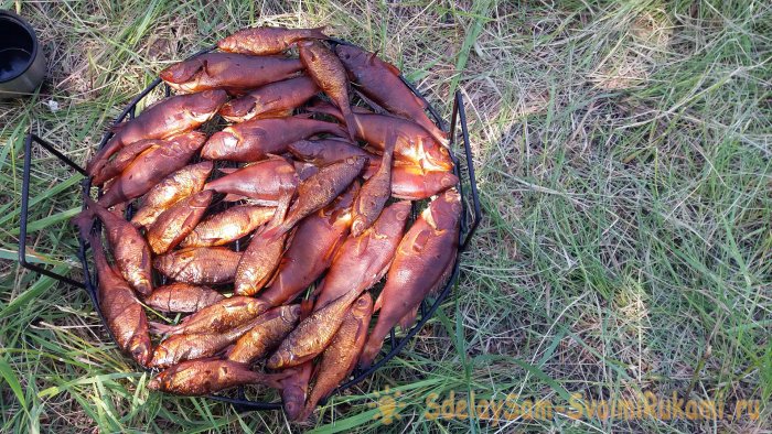 Копчение рыбы на рыбалке быстро просто вкусно Мой отчет