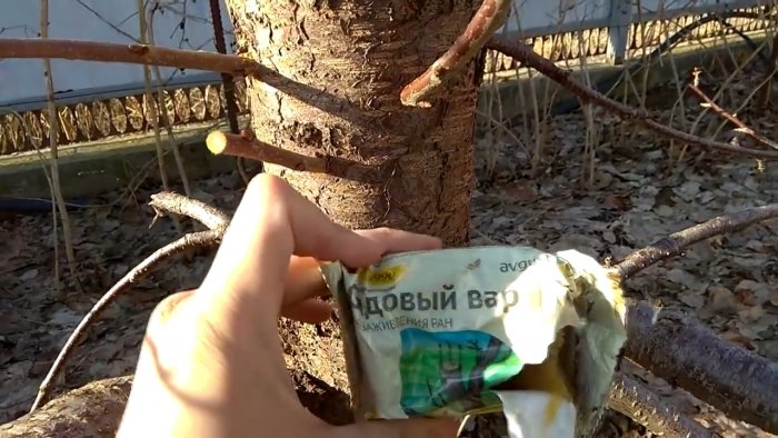 Прививка дерева дрелью